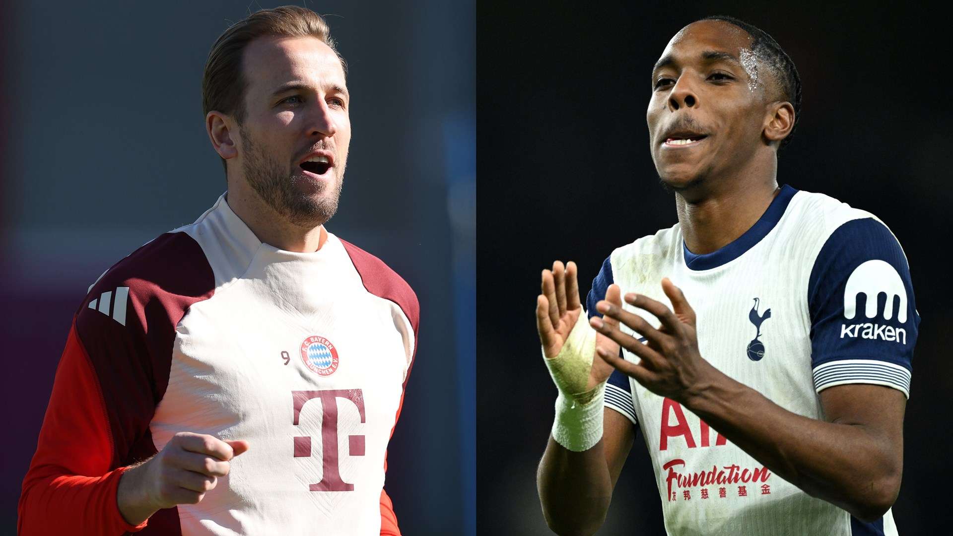 尼斯在球队 尼斯在球队